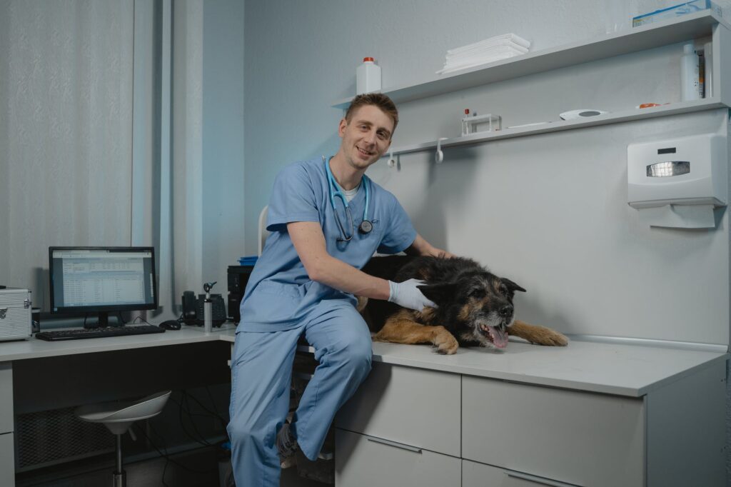 How to Achieve an Effective Dental Care For Pets How to Achieve an Effective Dental Care For Pets