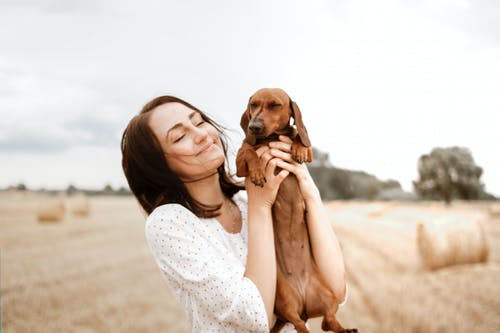 Great Tips for Dogs and Puppies Dental Care Great Tips for Dogs and Puppies Dental Care