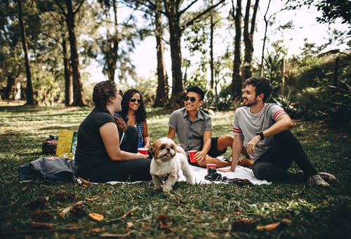 Pets and Orthopedic Disorders